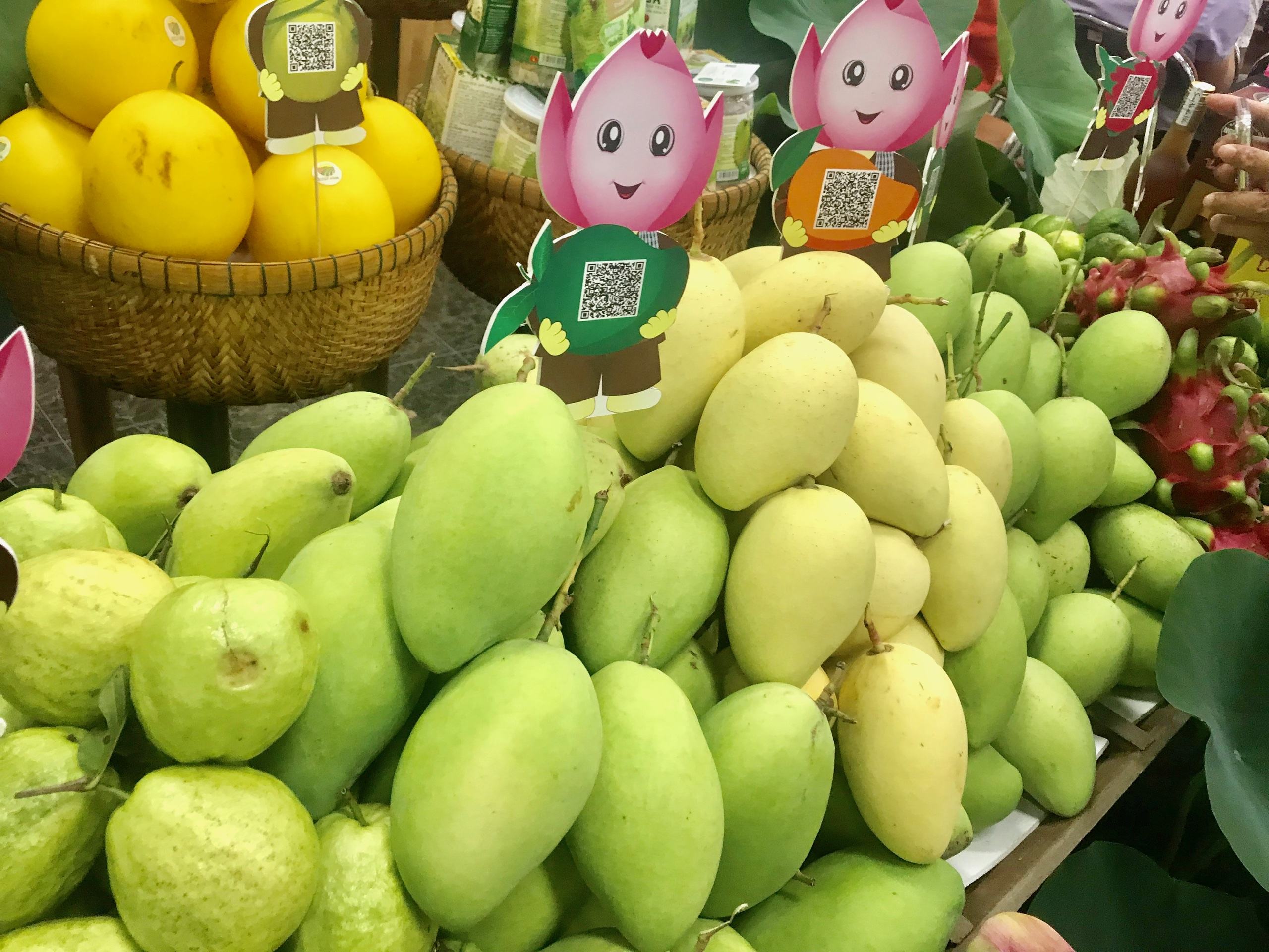 VIETNAMESE MANGO WHOLESALE – DIRECT FACTORY SUPPLY FOR INTERNATIONAL EXPORT 4