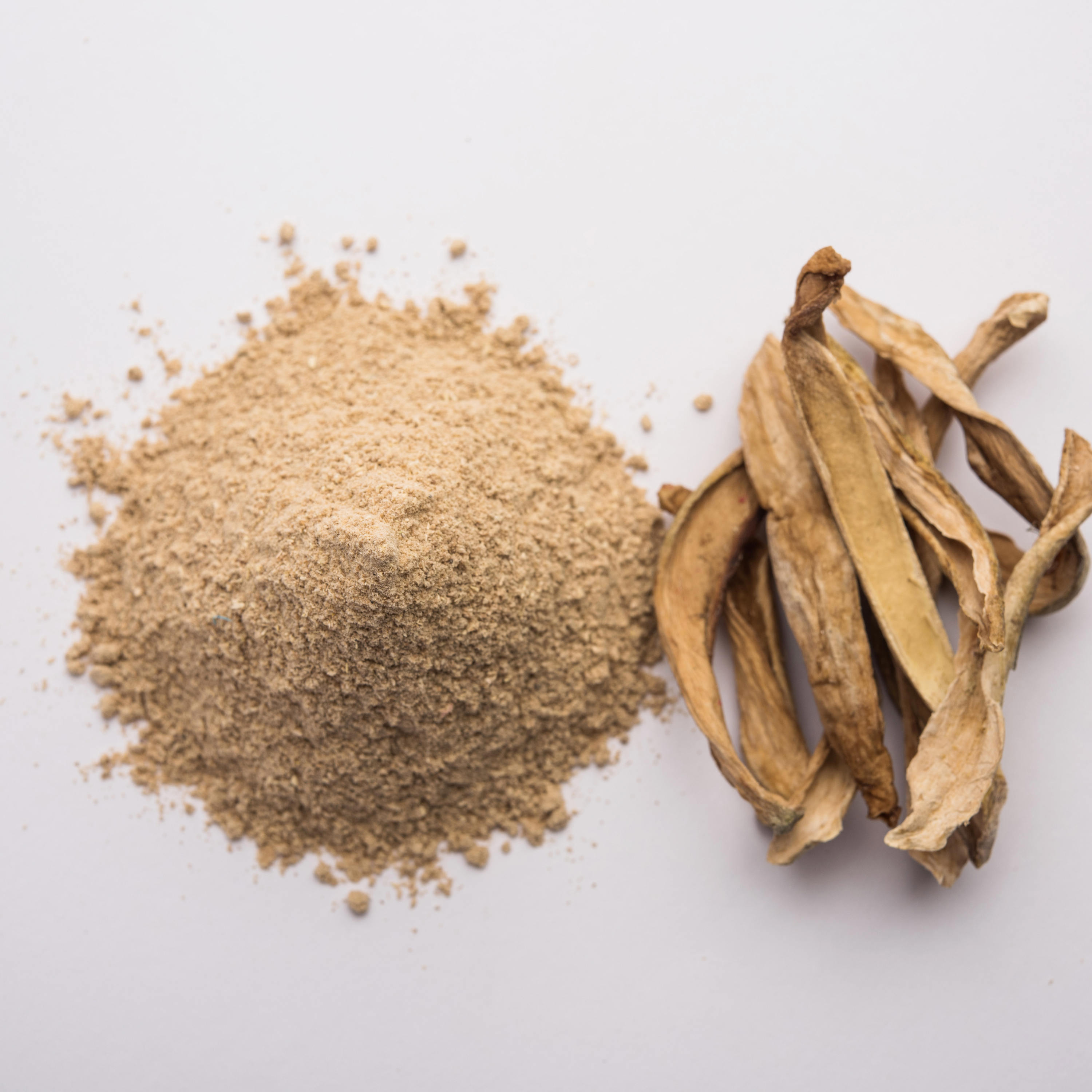 VIETNAMESE DRIED MANGO POWDER – PURE FRUIT INGREDIENT, COMPETITIVE WHOLESALE PRICES & EXPORT-READY SUPPLY 4