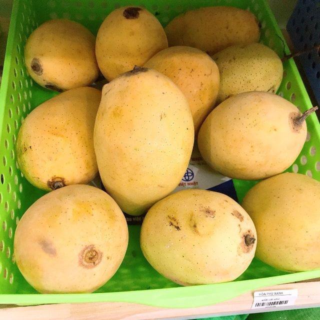 VIETNAMESE FRESH MANGO – NATURALLY SWEET FLAVOR, COMPETITIVE WHOLESALE PRICES & EXPORT SUPPLY