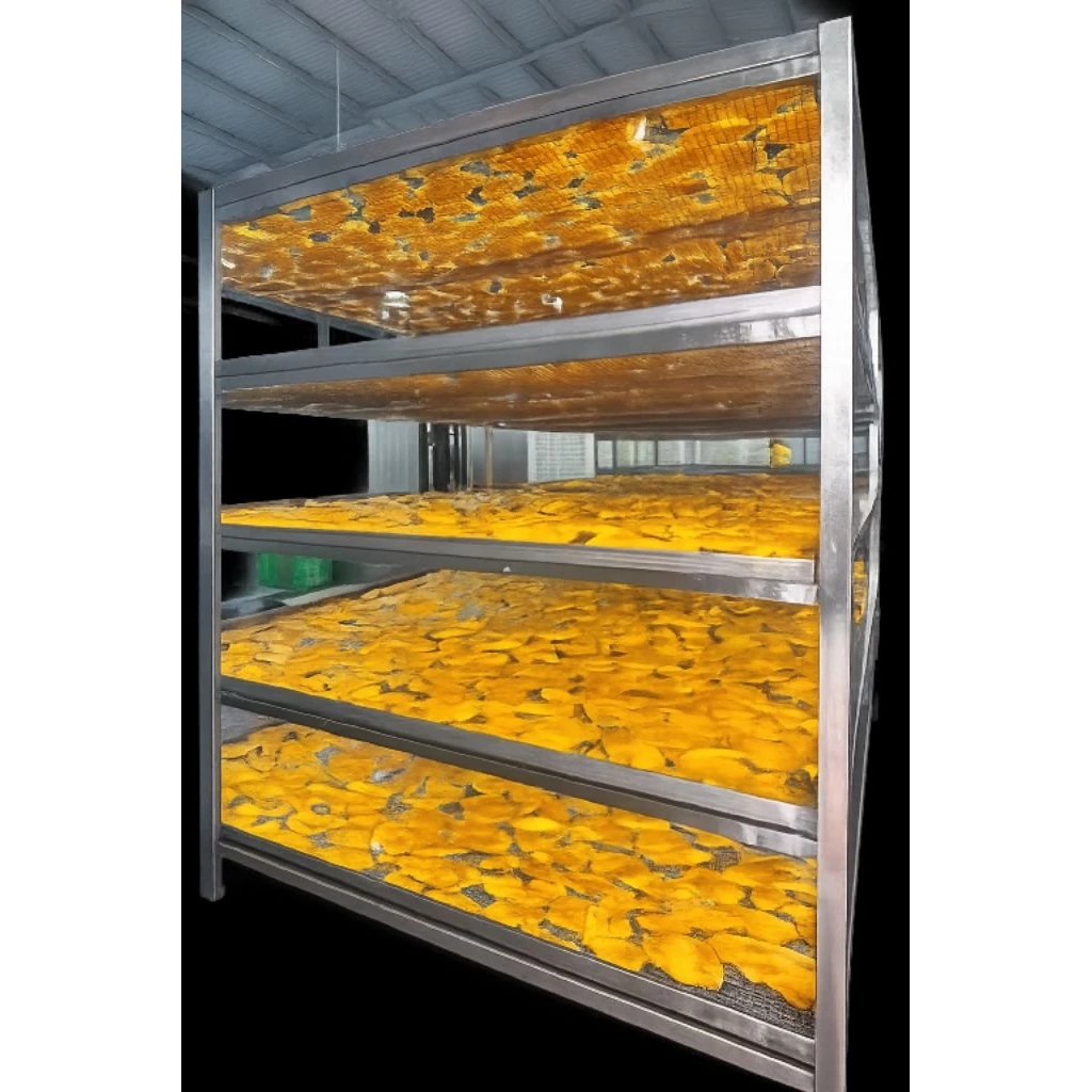 VIETNAMESE SOFT DRIED MANGO WITH CHILI SALT 100G – NHA TRANG, KHANH HOA SPECIALTY FOR WHOLESALE EXPORT 3