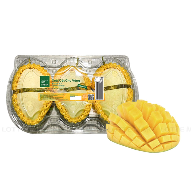 VIETNAMESE CAT HOA LOC MANGO – MANGO KING PREMIUM VARIETY FOR WHOLESALE EXPORT