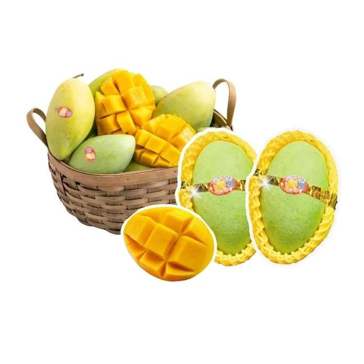 VIETNAMESE CAT HOA LOC MANGO – MANGO KING PREMIUM VARIETY FOR WHOLESALE EXPORT 3