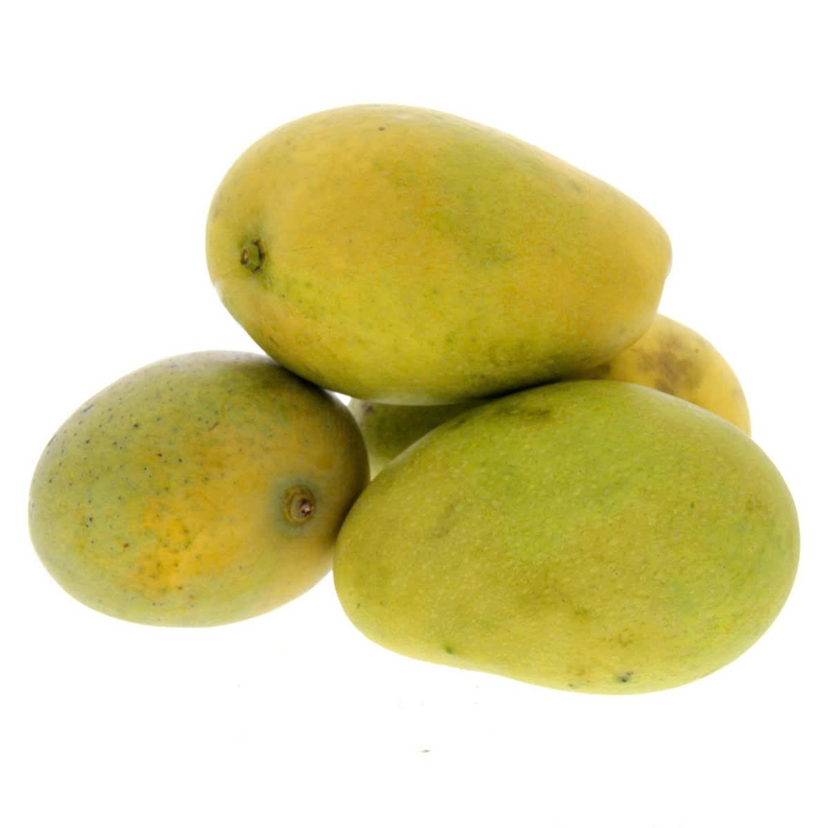 VIETNAMESE FRESH RIPE MANGO – HAND-PICKED TROPICAL FRUIT, GREAT VALUE & WHOLESALE EXPORT
