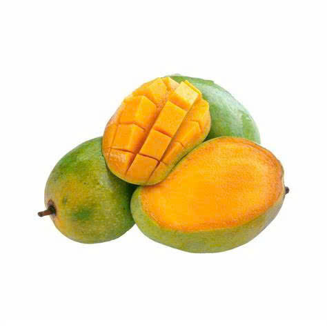 VIETNAMESE FRESH RIPE MANGO – HAND-PICKED TROPICAL FRUIT, GREAT VALUE & WHOLESALE EXPORT 4