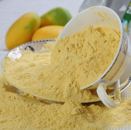 VIETNAMESE PURE MANGO POWDER – 100% MANGO INGREDIENT FOR WHOLESALE & EXPORT SUPPLY