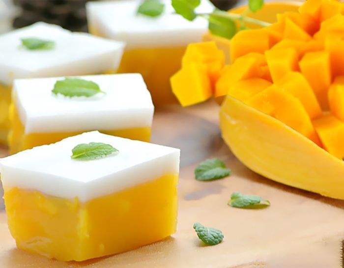 VIETNAMESE PURE MANGO POWDER – 100% MANGO INGREDIENT FOR WHOLESALE & EXPORT SUPPLY 4