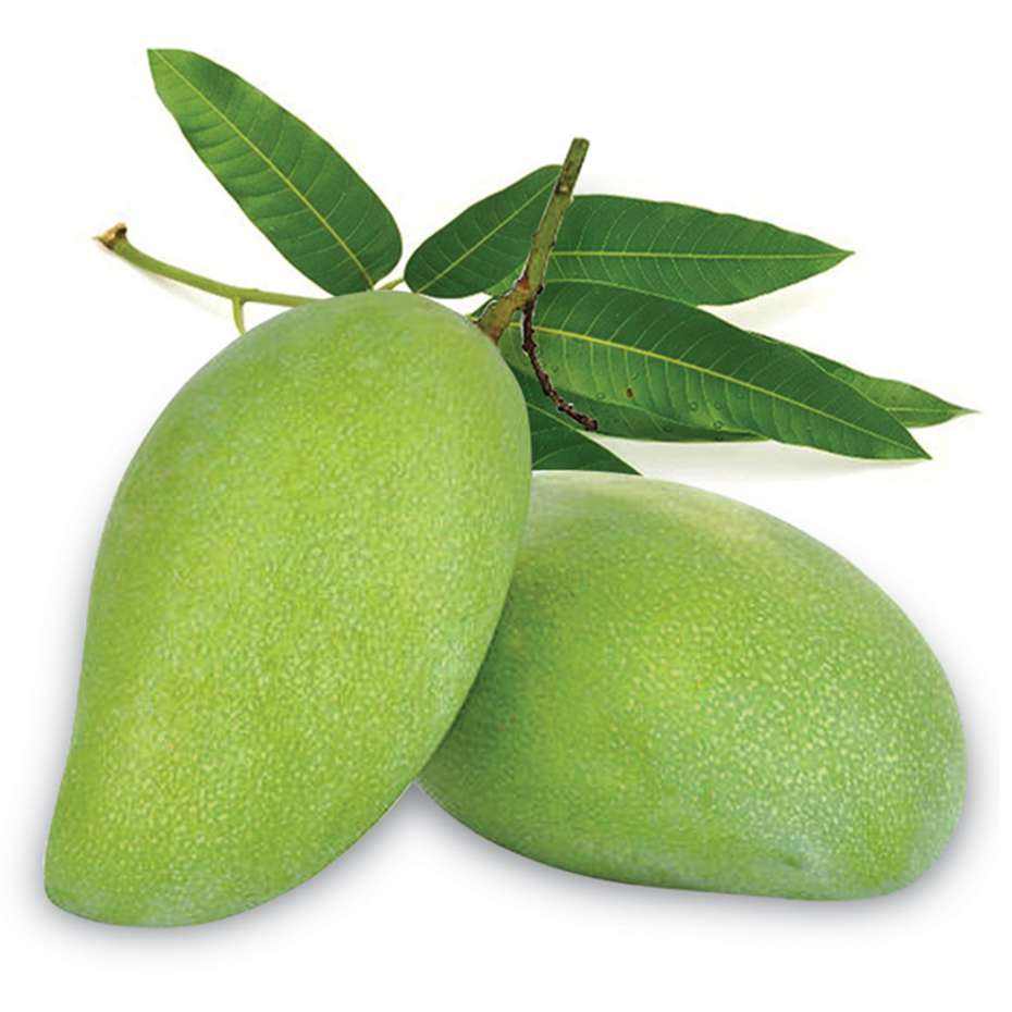 VIETNAMESE FRESH MANGO FOR EXPORT – SWEET FLAVOR, PREMIUM GRADING & EXPORT CARTON PACKAGING