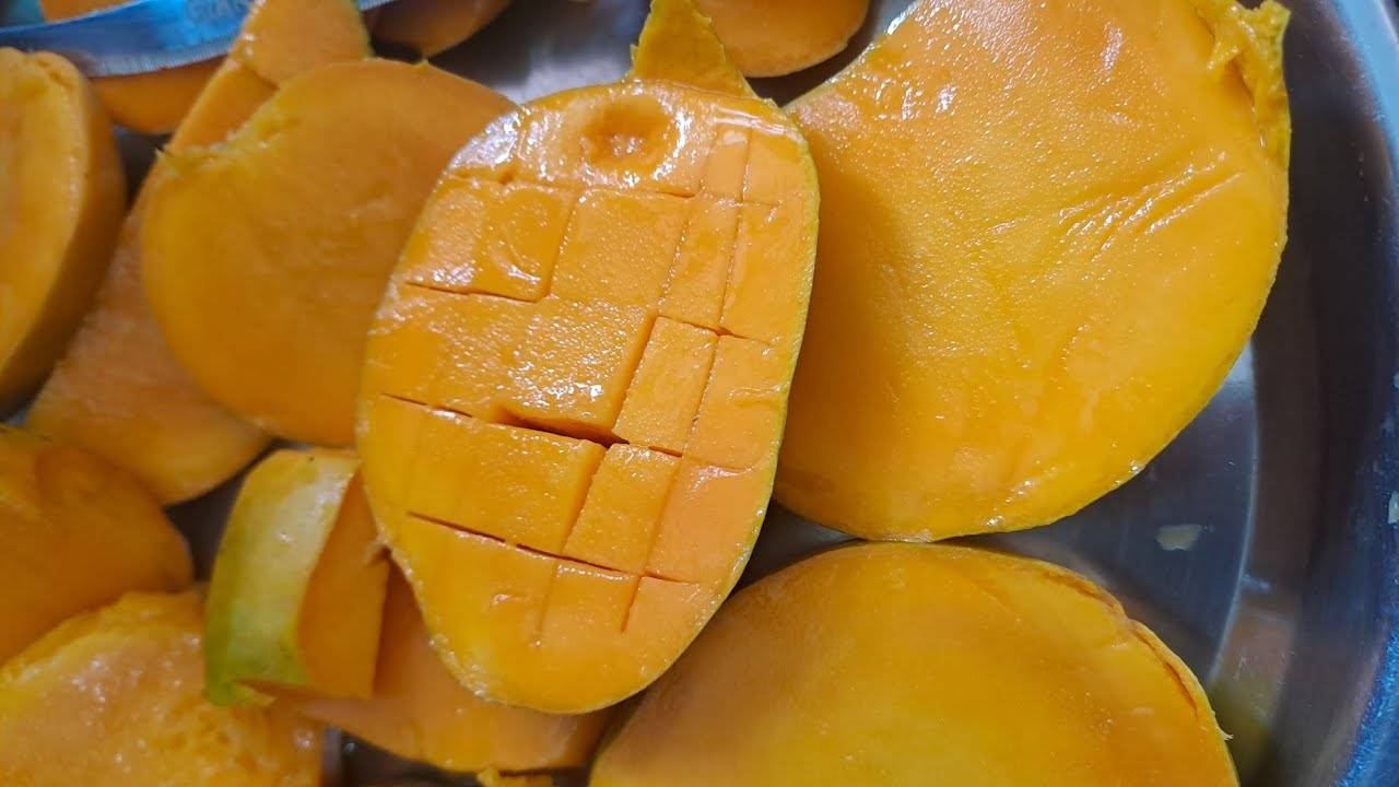 VIETNAMESE MANGO PUREE – TROPICAL SWEET AND TANGY FRUIT PULP 3