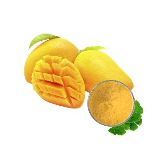 VIETNAMESE MANGO POWDER – PURE FRUIT INGREDIENT FOR FOOD AND BEVERAGE MANUFACTURING 3