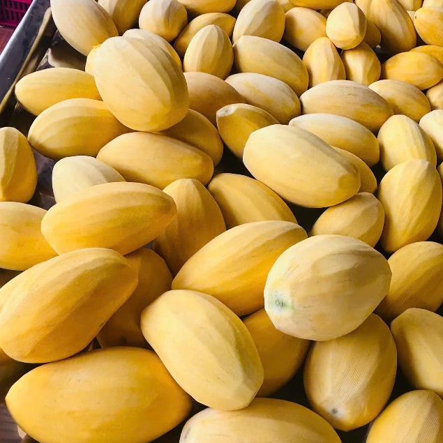 VIETNAMESE SOFT DRIED MANGO WITH CHILI SALT – LESS SWEET FRUIT SNACK