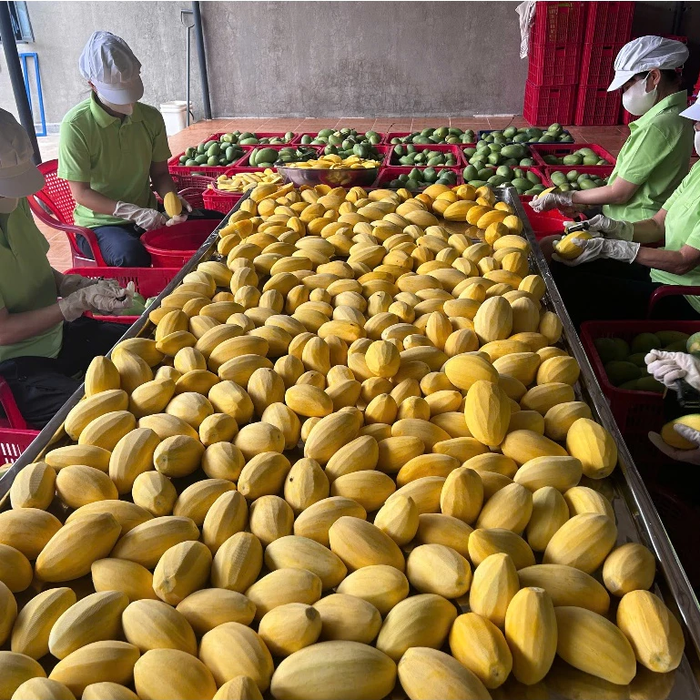 VIETNAMESE SOFT DRIED MANGO WITH CHILI SALT – LESS SWEET FRUIT SNACK 4