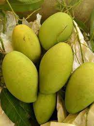 VIETNAMESE FRESH KEO MANGO – ORGANIC MANGO FRUIT FOR EXPORT 3