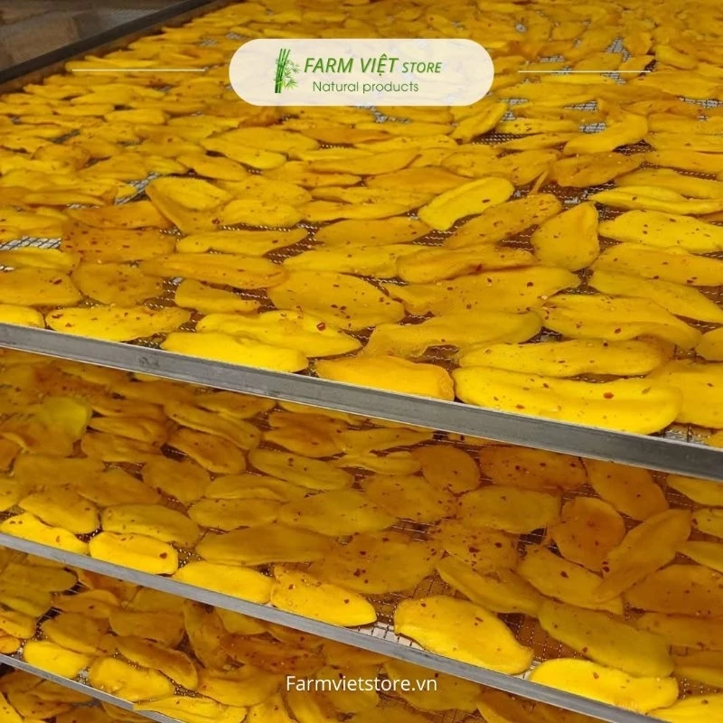 VIETNAMESE SOFT DRIED MANGO WITH CHILI SALT 500G – NHA TRANG-STYLE SOUR AND SPICY SNACK 2