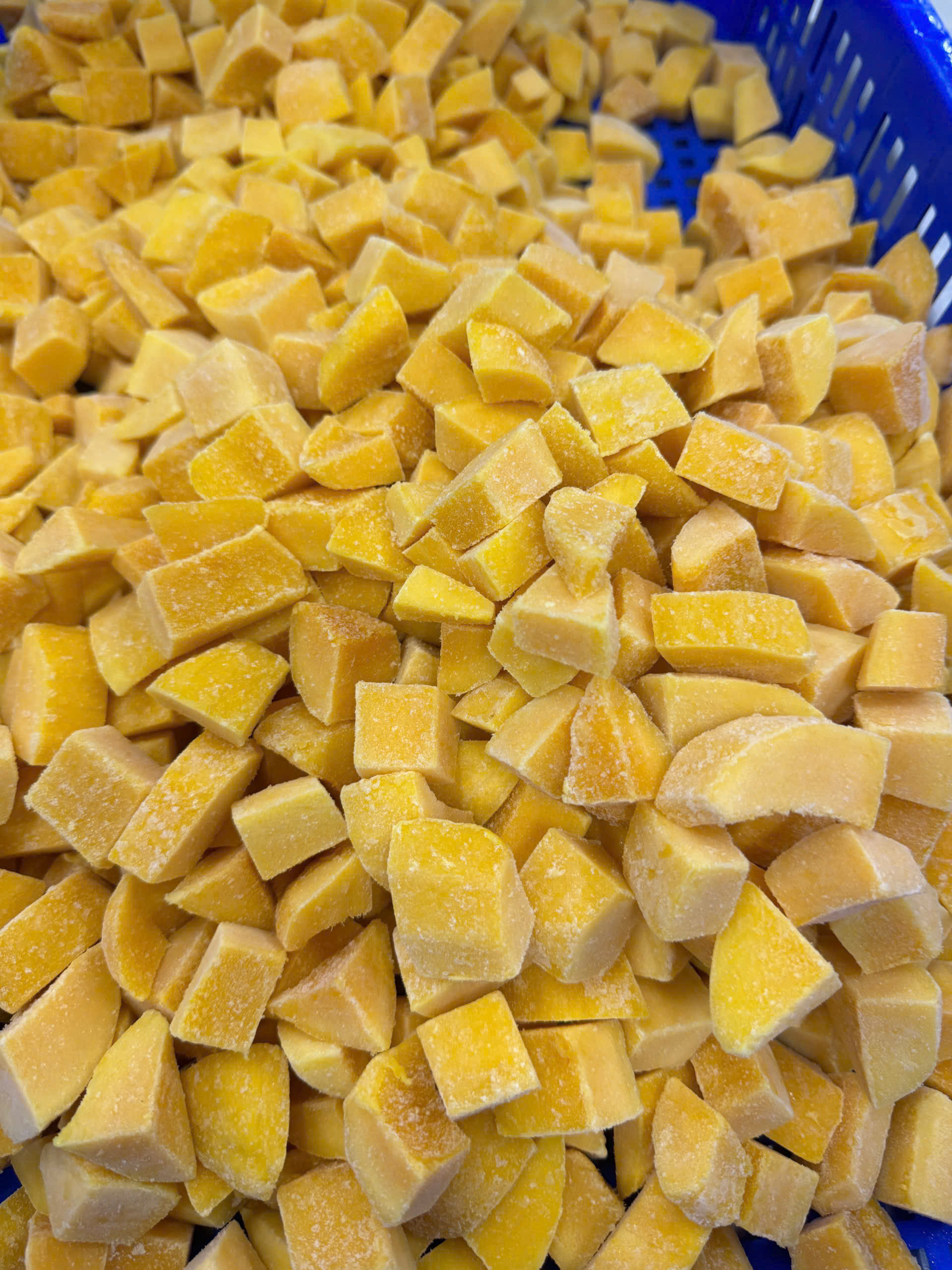 VIETNAMESE IQF WHOLE FROZEN MANGO – 10KG BULK PACK, VACUUM PACKAGING AVAILABLE 3
