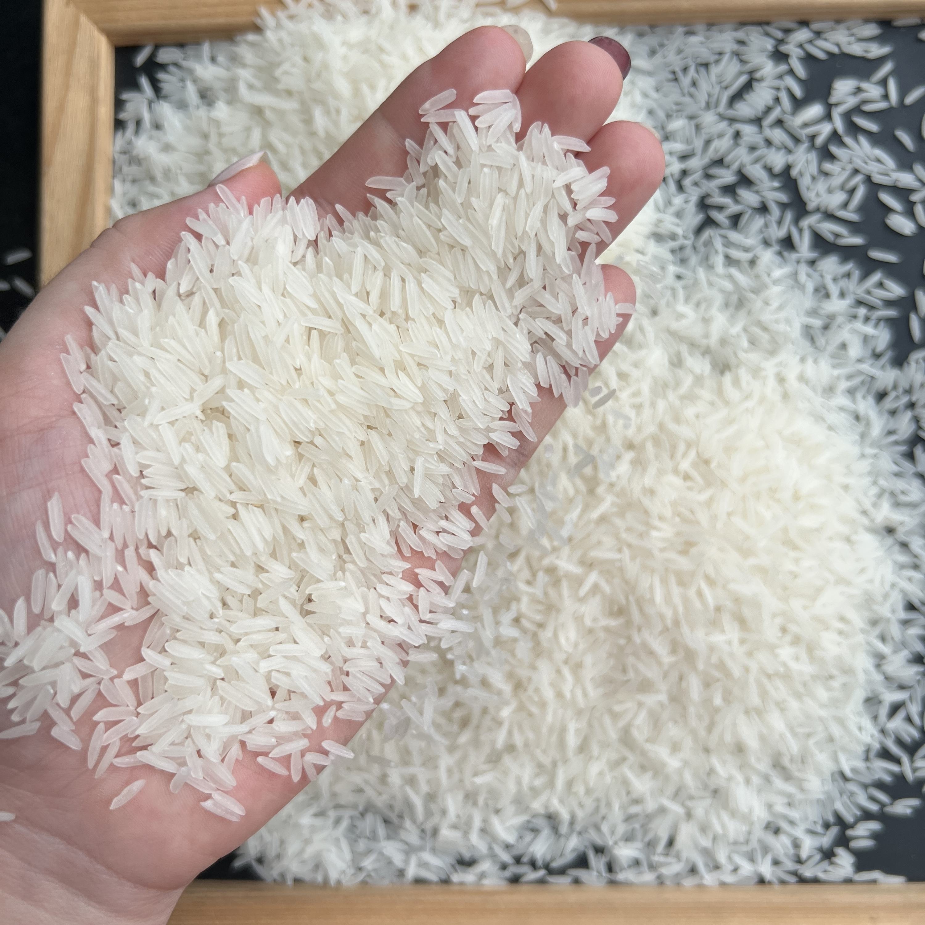 VIETNAMESE ST25 JASMINE FRAGRANT WHITE RICE – LONG GRAIN RICE FOR EXPORT 2