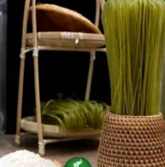VIETNAMESE MORINGA RICE NOODLES – INSTANT NOODLES, BULK PACKAGING FOR EXPORT 4
