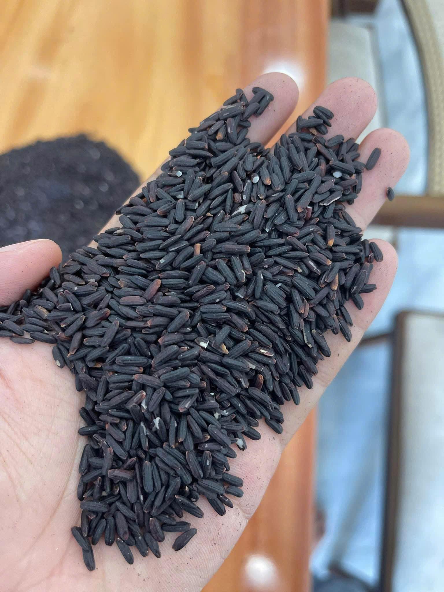 PREMIUM VIETNAMESE BLACK GLUTINOUS RICE FROM TIEN GIANG – 100% PURE, 24-MONTH SHELF LIFE, BULK EXPORT & OEM 2