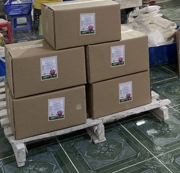 PREMIUM VIETNAMESE GLUTINOUS RICE FLOUR FOR JAPANESE MOCHI – FINE TEXTURE, DIRECT FACTORY EXPORT 2