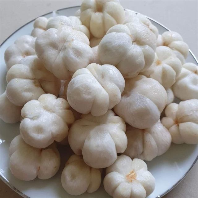 VIETNAMESE FROZEN WHOLE AND HALVED MANGOSTEEN – NATURAL TROPICAL FRUIT FOR WHOLESALE EXPORT