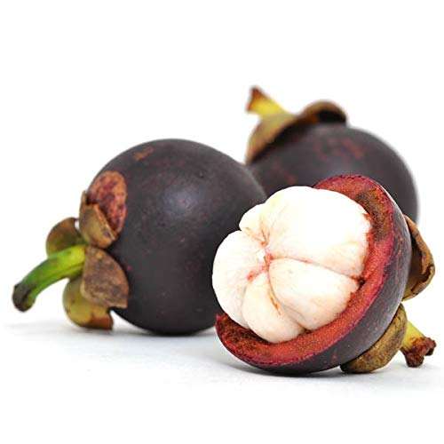 VIETNAMESE FRESH MANGOSTEEN 1KG BAG – PREMIUM TROPICAL FRUIT FOR WHOLESALE AND EXPORT