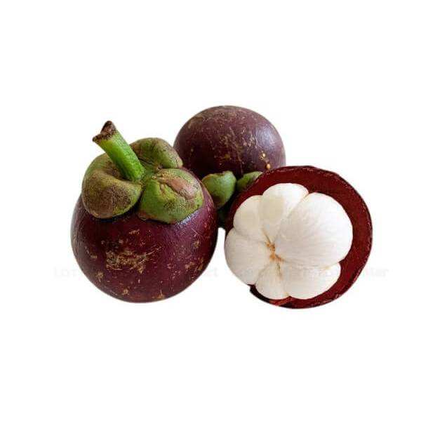 VIETNAMESE FRESH MANGOSTEEN 1KG BAG – PREMIUM TROPICAL FRUIT FOR WHOLESALE AND EXPORT 2