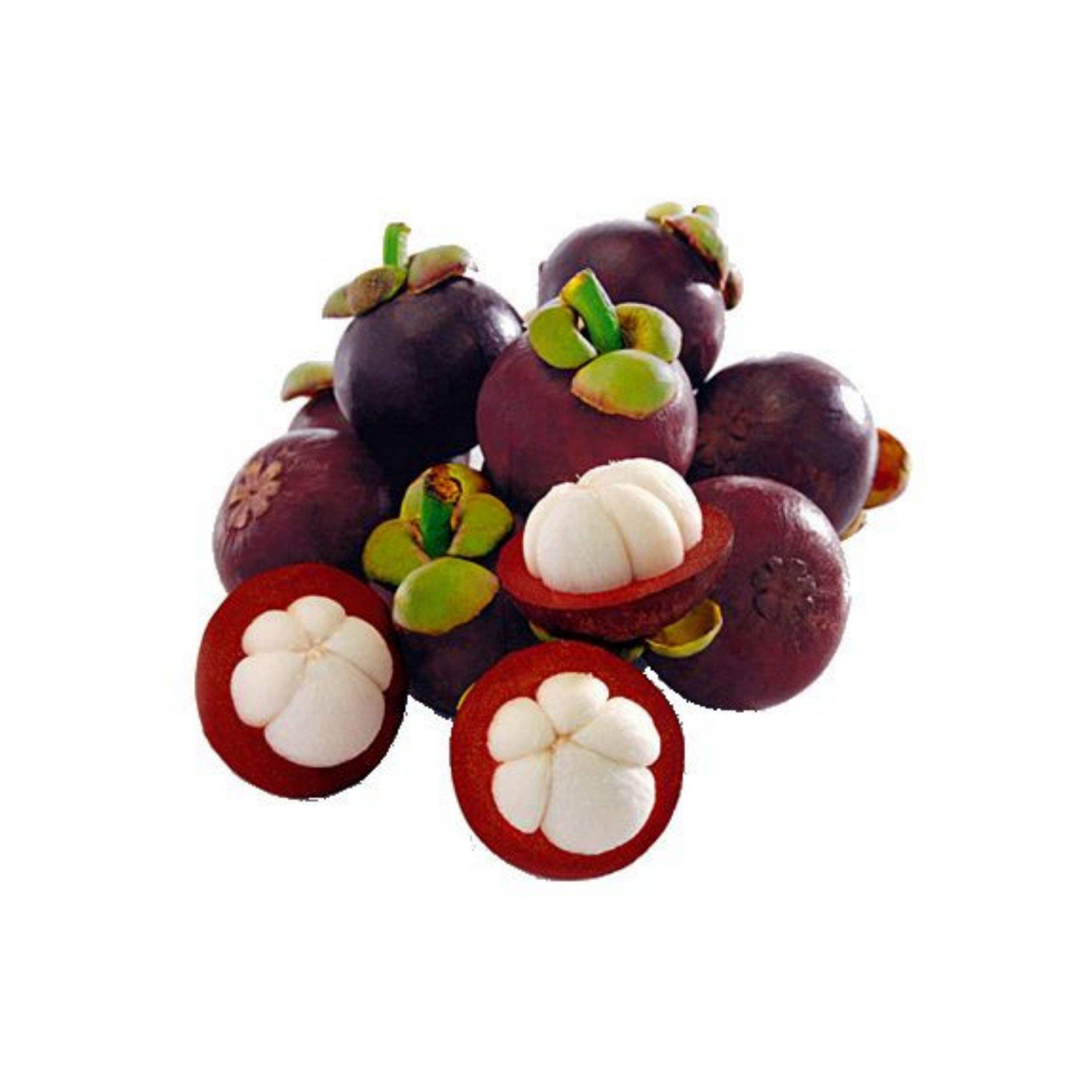 FRESH VIETNAMESE MANGOSTEEN – PREMIUM TROPICAL FRUIT EXPORT FOR IMPORTERS, SUPERMARKETS AND WHOLESALE DISTRIBUTORS