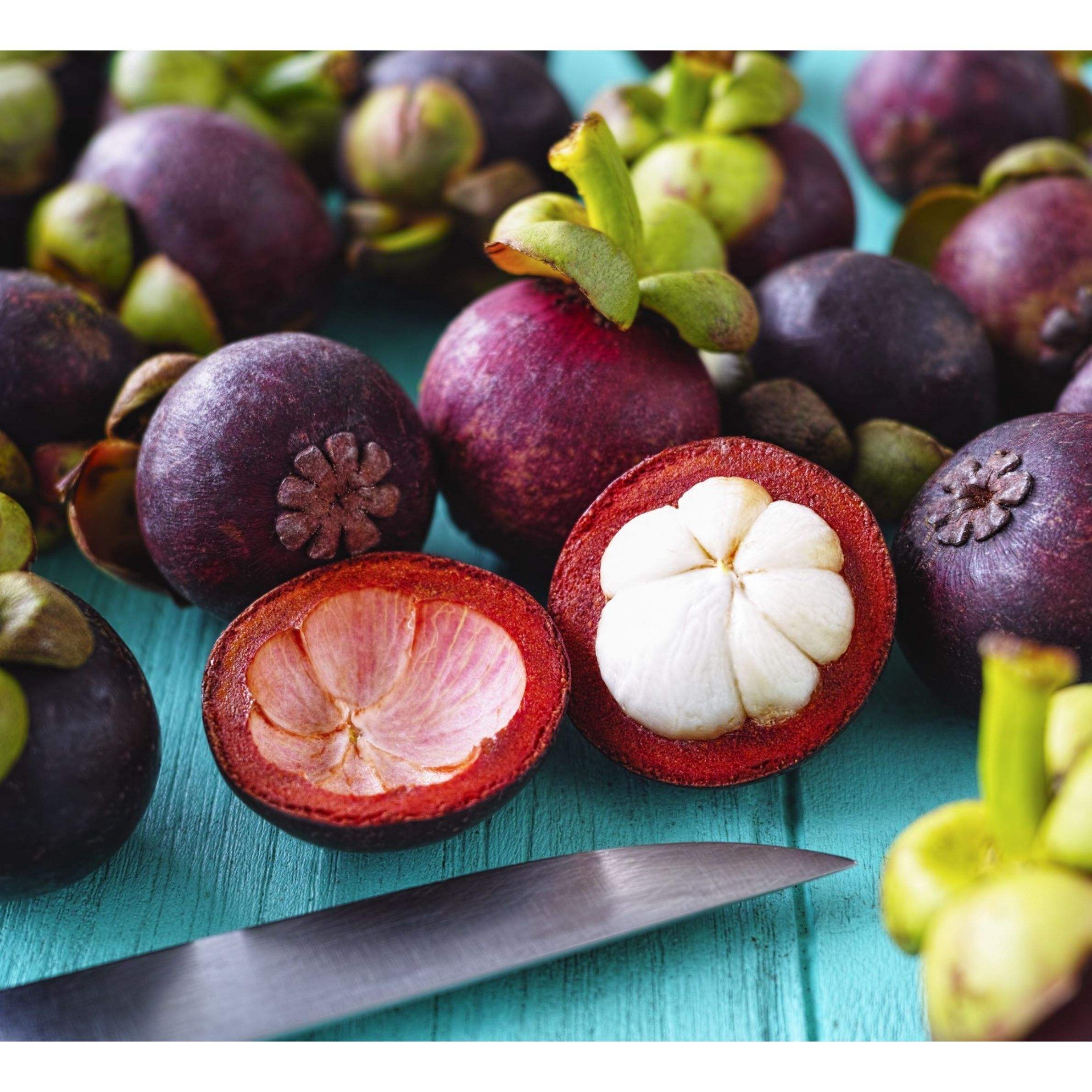 FRESH VIETNAMESE MANGOSTEEN – PREMIUM TROPICAL FRUIT EXPORT FOR IMPORTERS, SUPERMARKETS AND WHOLESALE DISTRIBUTORS 4