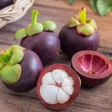 VIETNAMESE FRESH AND FROZEN MANGOSTEEN – TROPICAL FRUIT SUPPLY FOR WHOLESALE AND EXPORT