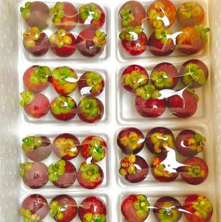 VIETNAMESE FRESH AND FROZEN MANGOSTEEN – TROPICAL FRUIT SUPPLY FOR WHOLESALE AND EXPORT 2