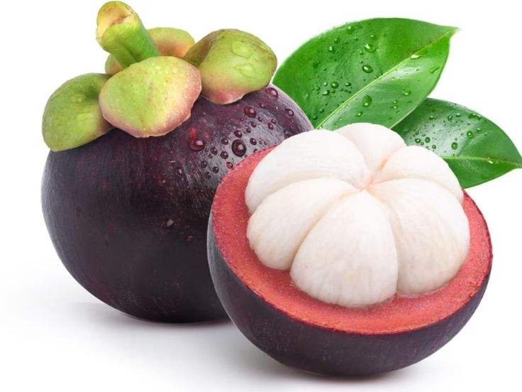 PREMIUM FRESH VIETNAMESE MANGOSTEEN – PURPLE TROPICAL FRUIT SORTED AND PACKED FOR EXPORT SHIPPING 3