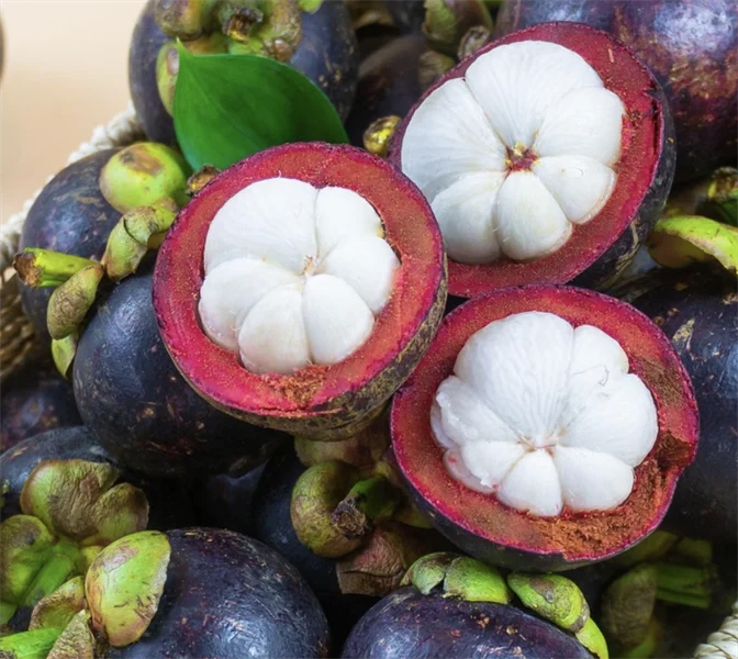 PREMIUM VIETNAMESE KIEN GIANG MANGOSTEEN – FRESH TROPICAL FRUIT FOR WHOLESALE AND EXPORT 4
