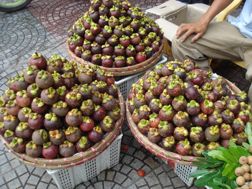 PREMIUM VIETNAMESE SOC TRANG MANGOSTEEN – FRESH TROPICAL FRUIT FOR WHOLESALE AND EXPORT 4