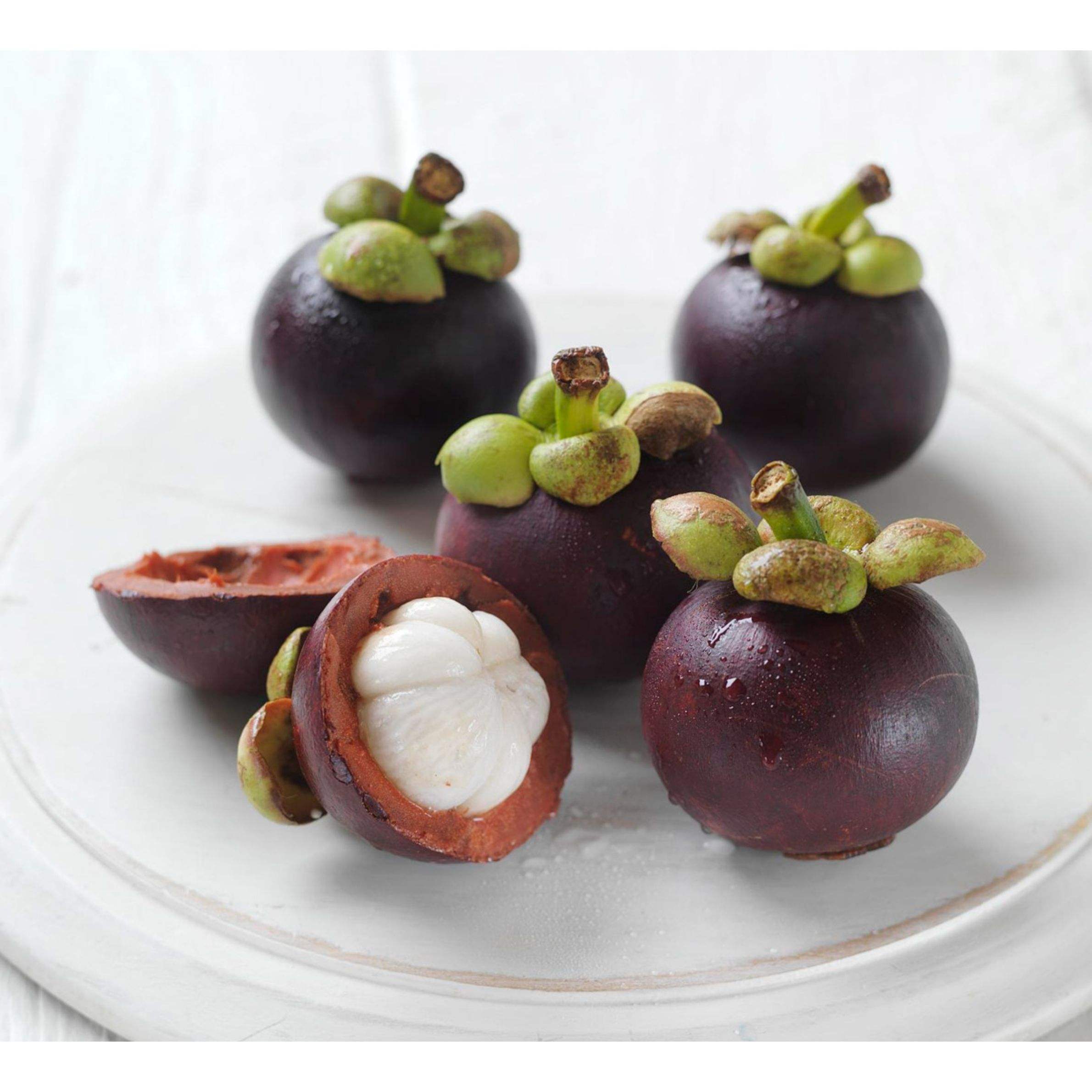 PREMIUM VIETNAMESE BINH DUONG MANGOSTEEN – FRESH TROPICAL FRUIT FOR WHOLESALE AND EXPORT