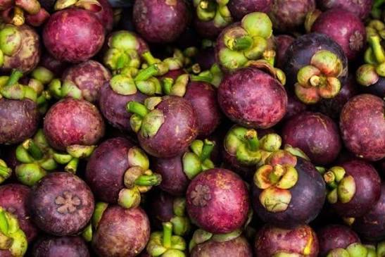 PREMIUM VIETNAMESE BINH DUONG MANGOSTEEN – FRESH TROPICAL FRUIT FOR WHOLESALE AND EXPORT 3