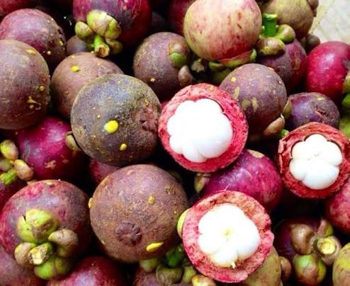 PREMIUM VIETNAMESE BINH DUONG MANGOSTEEN – FRESH TROPICAL FRUIT FOR WHOLESALE AND EXPORT 4
