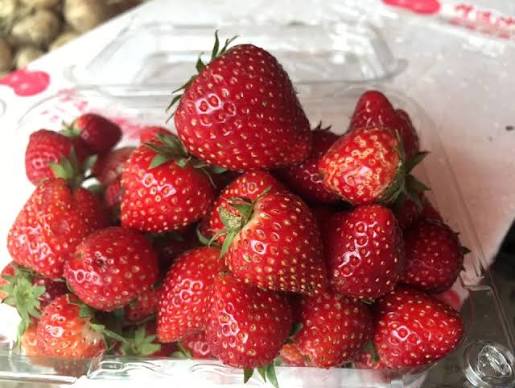 PREMIUM AKIHIME STRAWBERRIES – JAPANESE VARIETY FOR FRESH FRUIT MARKETS AND WHOLESALE DISTRIBUTION 2