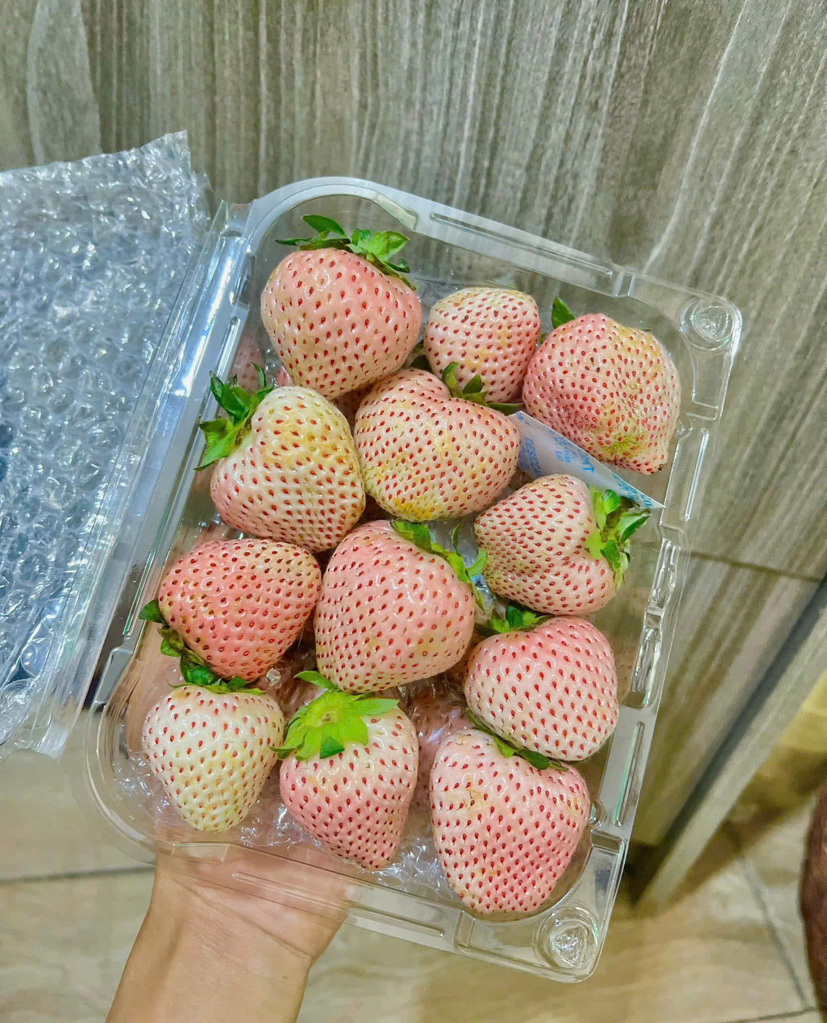VIETNAMESE WHITE STRAWBERRY – PREMIUM SPECIALTY FRUIT FOR WHOLESALE EXPORT 4