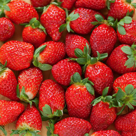 PREMIUM VIETNAMESE STRAWBERRY JUICE 500ML BOTTLE – WHOLESALE EXPORT, OEM & ODM MANUFACTURING 4
