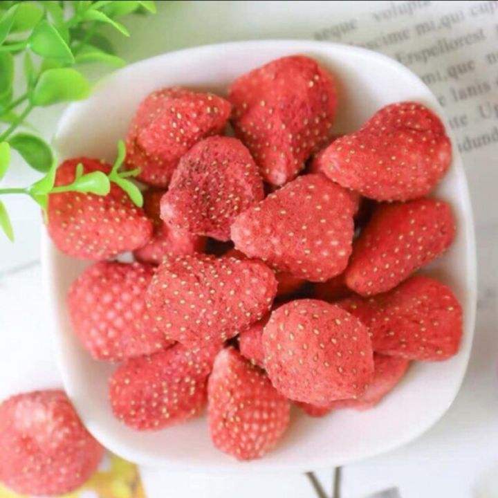 PREMIUM VIETNAMESE FREEZE-DRIED STRAWBERRY SLICES – BULK WHOLESALE EXPORT