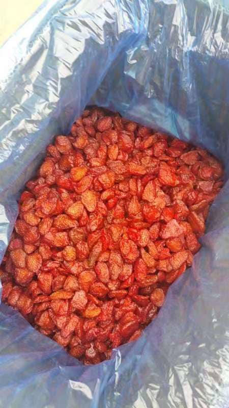 VIETNAMESE FREEZE-DRIED AND SOFT-DRIED STRAWBERRIES – BULK WHOLESALE EXPORT 2