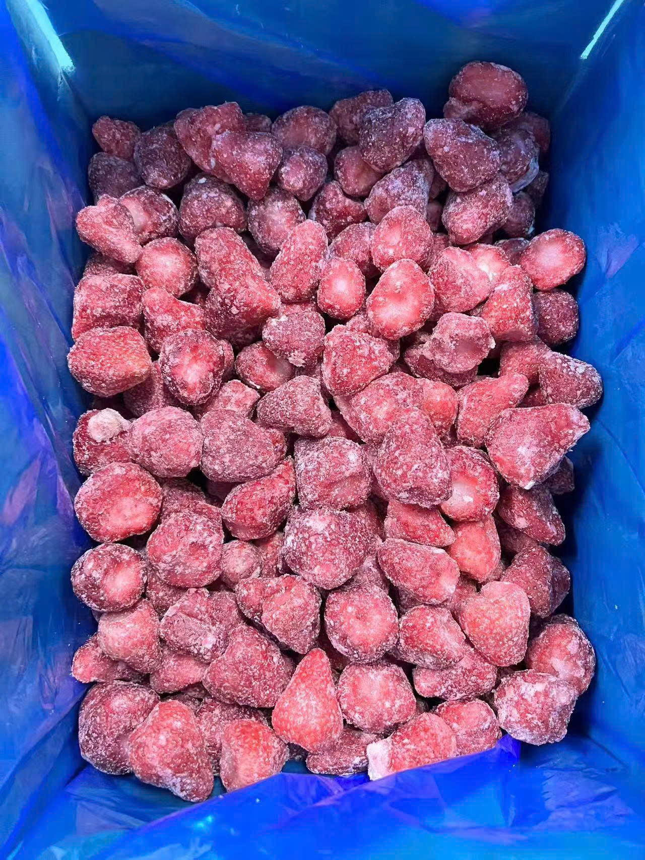 PREMIUM VIETNAMESE IQF FROZEN STRAWBERRIES – HACCP / ISO-CERTIFIED SUPPLIER FOR WHOLESALE EXPORT 2