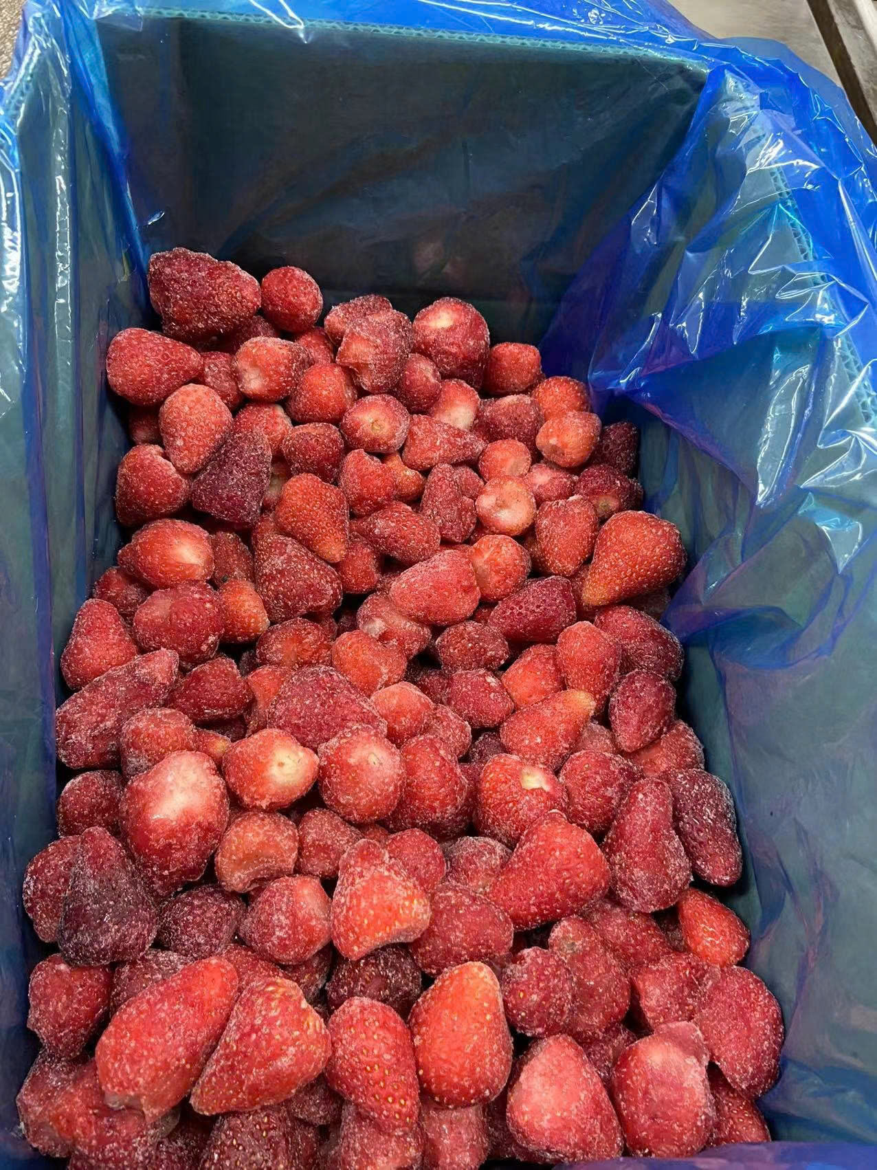 PREMIUM VIETNAMESE IQF FROZEN STRAWBERRIES – HACCP / ISO-CERTIFIED SUPPLIER FOR WHOLESALE EXPORT 4