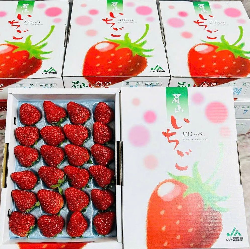 PREMIUM VIETNAMESE BENIHOPPE STRAWBERRIES – SPECIALTY FRESH FRUIT FOR WHOLESALE EXPORT 2