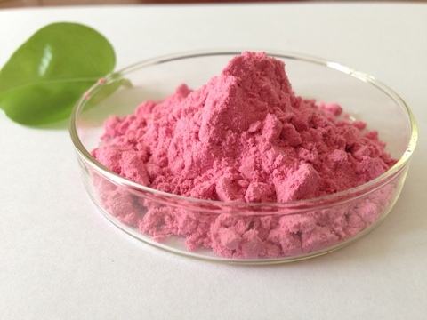PREMIUM VIETNAMESE FREEZE-DRIED STRAWBERRY EXTRACT POWDER – FOOD-GRADE INDUSTRIAL INGREDIENT IN DRUM PACKAGING 3