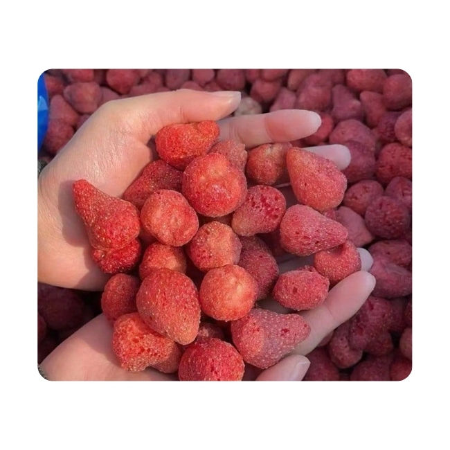 PREMIUM VIETNAMESE PURE DRIED STRAWBERRIES – WHOLESALE EXPORT FOR PREMIUM FOOD SERVICE AND FRUIT SNACK MARKETS 4