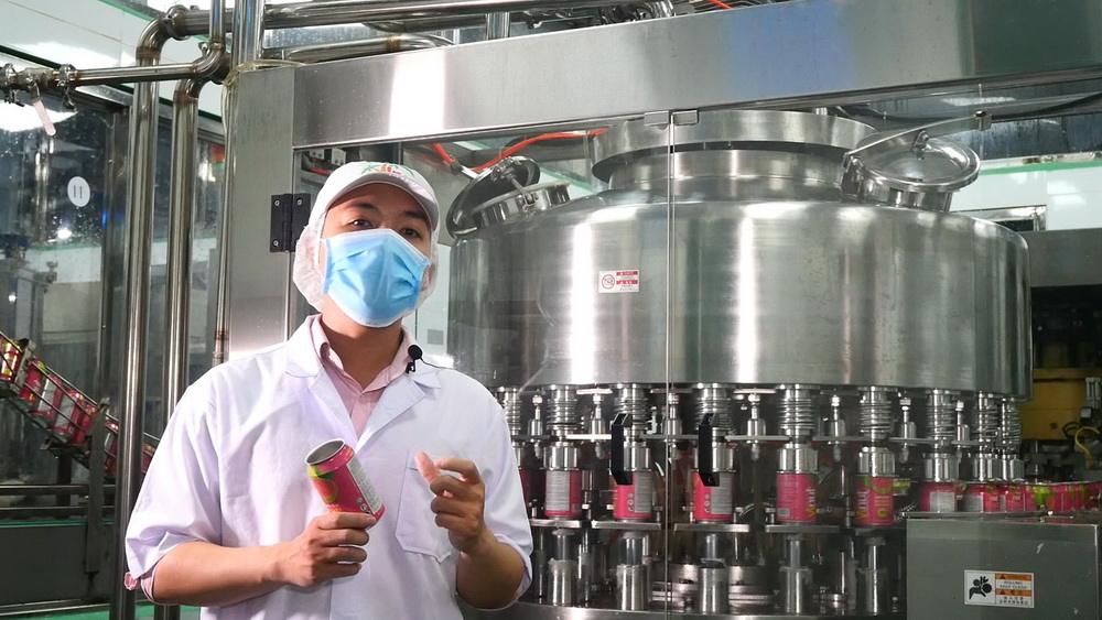 PREMIUM VIETNAMESE STRAWBERRY & TROPICAL FRUIT JUICE DRINK 250ML – WHOLESALE BEVERAGE EXPORT 4