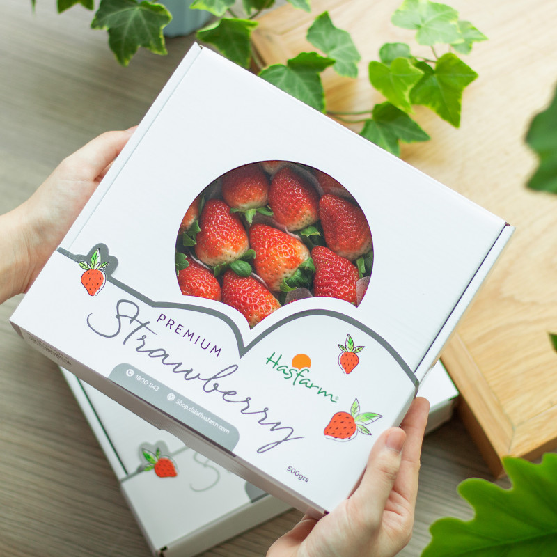 PREMIUM VIETNAMESE HASFARM STRAWBERRIES 500G – FRESH FRUIT FOR WHOLESALE AND RETAIL DISTRIBUTION 4