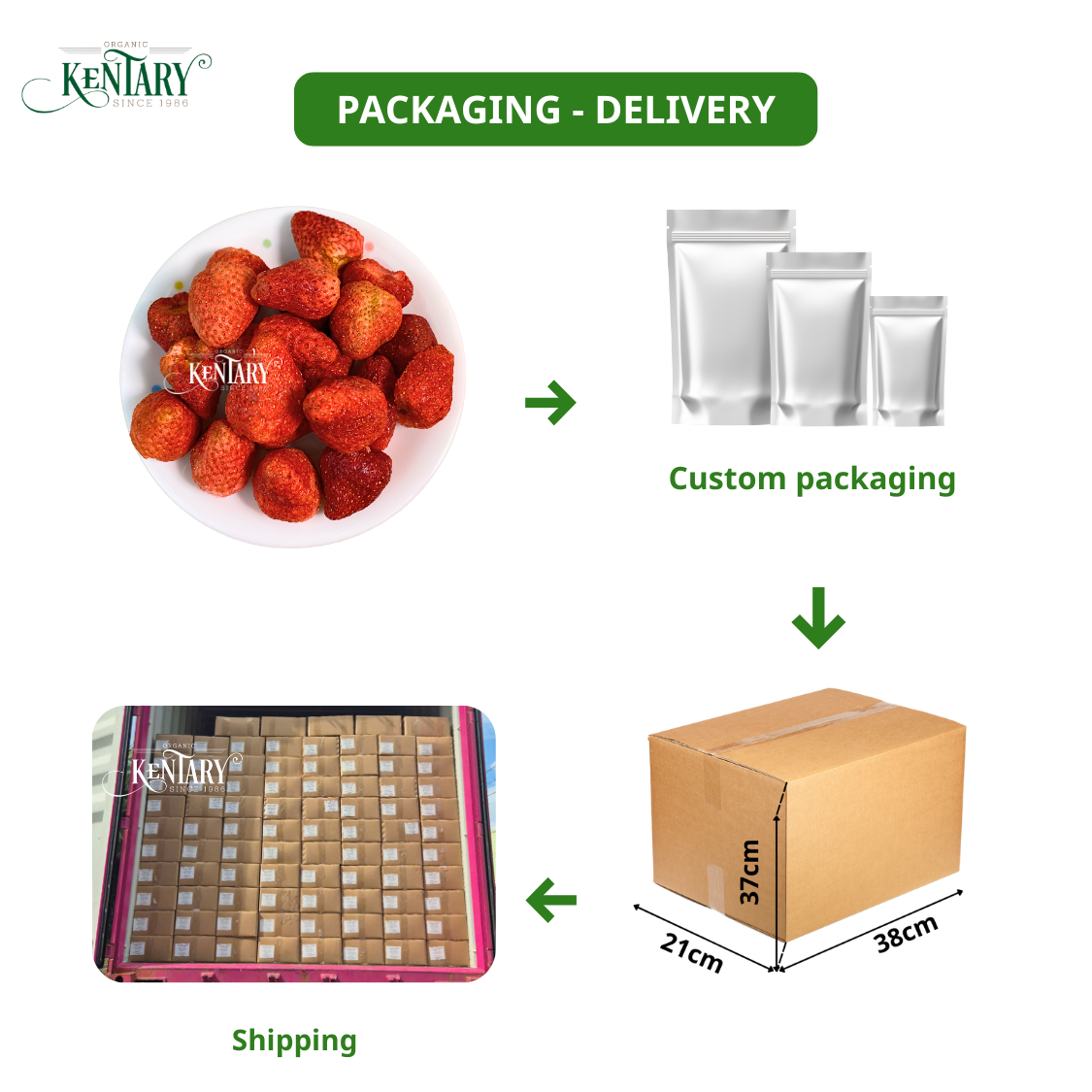 PREMIUM VIETNAMESE WHOLE FREEZE-DRIED STRAWBERRIES – BULK PACKAGING, EXTENDED SHELF LIFE AND WHOLESALE EXPORT 3