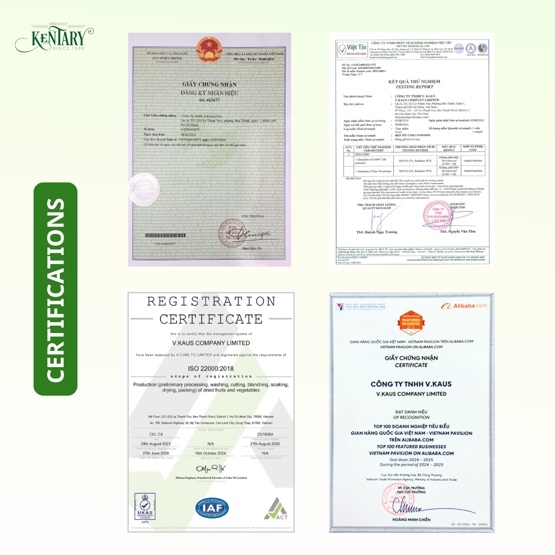 PREMIUM VIETNAMESE WHOLE FREEZE-DRIED STRAWBERRIES – BULK PACKAGING, EXTENDED SHELF LIFE AND WHOLESALE EXPORT 4