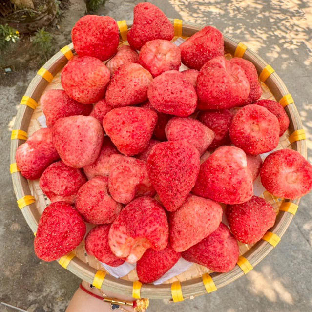 PREMIUM VIETNAMESE DRIED STRAWBERRY SLICES – BULK BAKERY INGREDIENT FOR CAKE DECORATION AND WHOLESALE EXPORT 4